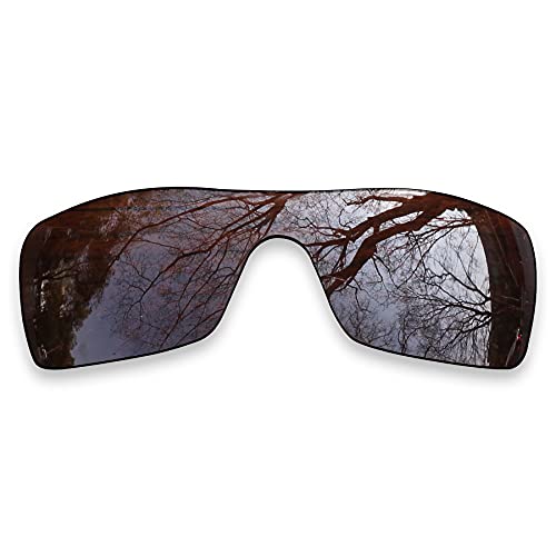 ToughAsNails Ersatzglas für Oakley Ridgeline OO9419 Sonnenbrille – weitere Optionen, Braun / bronzefarben, Einheitsgröße ToughAsNails Ersatzglas für Oakley Ridgeline OO9419 Sonnenbrille – weitere Optionen, Braun / bronzefarben, Einheitsgröße von ToughAsNails