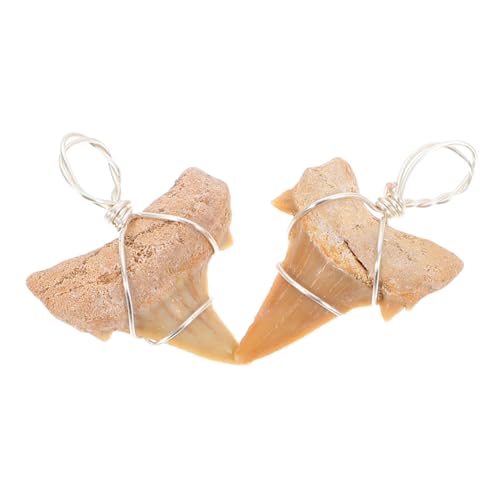 Toyvian 2 Stück Haifischzahn Anhänger Halsketten für Herren Langlebiges Material Einzigartiges Design Schmuckstücke für Outdoor Aktivitäten für Männer von Toyvian