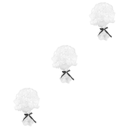 Toyvian 3stücke Halloween Cosplay Perücke Für Anwälte Und Richter Elegante Weiße Gerichtswig Für Erwachsene Für Karneval Und Kostümpartys von Toyvian