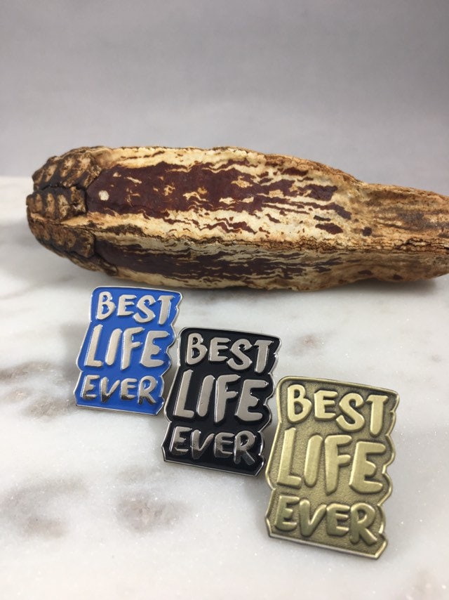 Jw Best Life Ever Anstecknadel [Lot Von 1] von TrailsEndFarmCrafts