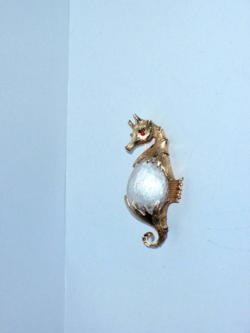Seltene 1960Er Jahre Rotaugen Seepferd Brosche von TreasureHuntingSpot