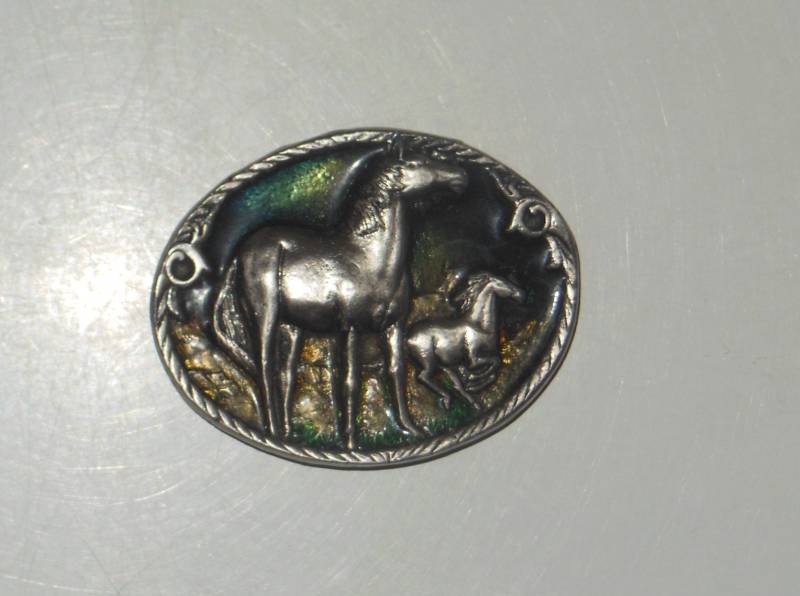 Pferde Vintage C & J-1991-Heavy-Metal-Gürtel Schnalle, Zinn Und Emaille von TreasureTimeCapsule