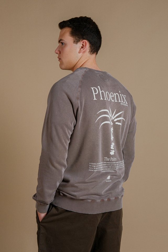 Trendsplant Rundhalspullover Washingtonia Midweight Pigment Sweater von Trendsplant