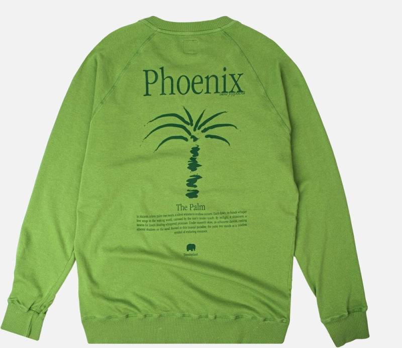 Trendsplant Rundhalspullover Washingtonia Midweight Pigment Sweater von Trendsplant