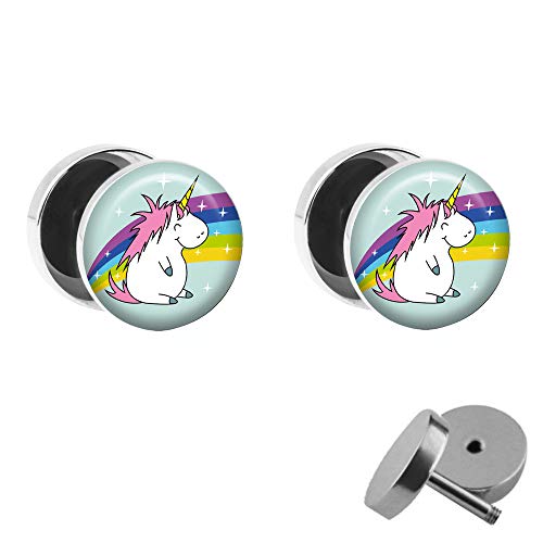 Treuheld® | Set - Dickes Einhorn mit Regenbogen - 2 Ohrstecker zum Schrauben mit Unicorn und Rainbow - Bunte Fake-Plugs mit kleinem Pony - Ø 10mm - Ohrringe Fakeplug - Edel-Stahl Ohrring mit Bild von Treuheld