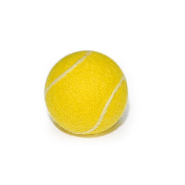 Treusinn Hundespielball FILZY Tennis / 100% natürliche Filzwolle / Ø ca. 7,5 cm von Treusinn