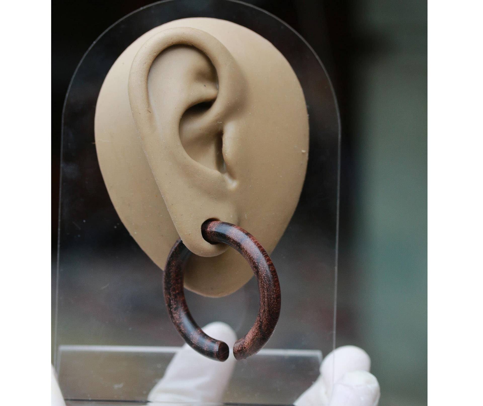 Aktion Sono Holz Creolen Plugs Piercing Schmuck Handgemacht.preis Pro Paar Aktion Sono Holz Creolen Plugs Piercing Schmuck Handgemacht.preis Pro Paar von Tribalisland