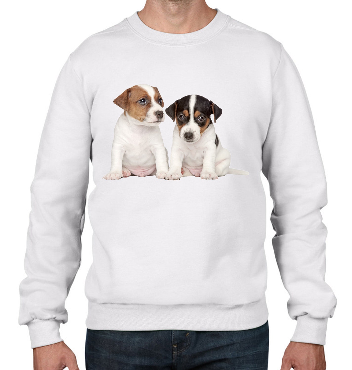 Jack Russell Welpen Herren Sweatshirt Pullover - Hunde Haustiere Hund Süße von Tribaltshirts