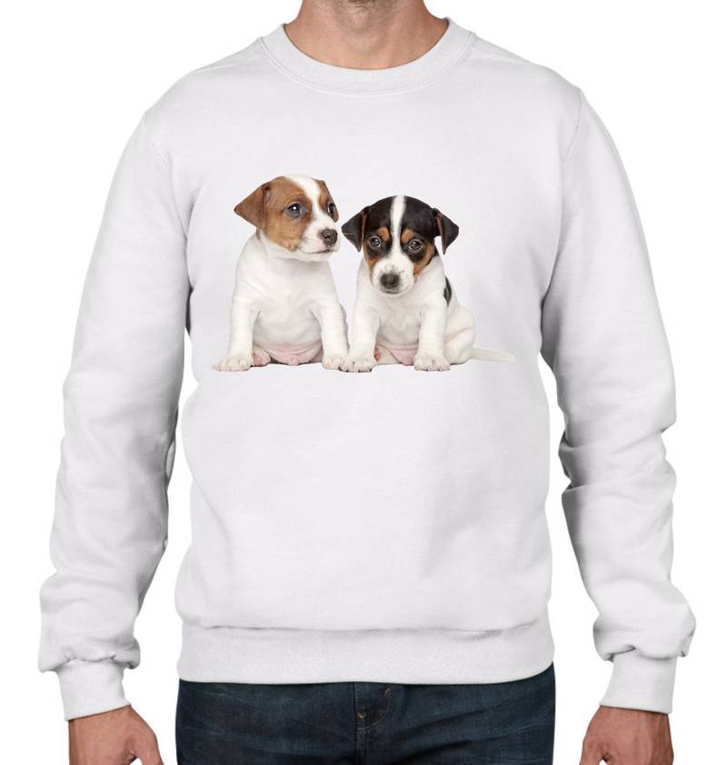 Jack Russell Welpen Herren Sweatshirt Pullover - Hunde Haustiere Hund Süße von Tribaltshirts