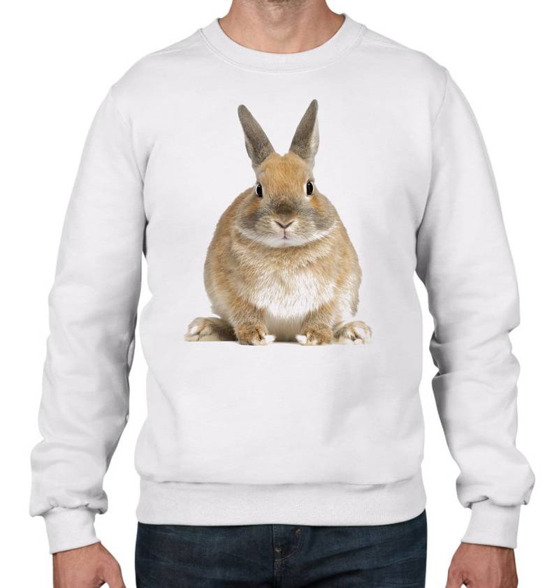 Kaninchen Herren Sweatshirt Pullover - Hase Süße Haustiere Tier Geburtstagsgeschenk von Tribaltshirts