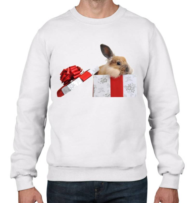 Weihnachten Kaninchen in Einer Geschenk-Box Herren Sweatshirt Pullover von Tribaltshirts