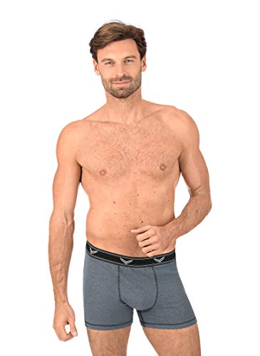 Trigema Herren Pants 6343121 Boxershorts, Grau (Steingrau, L von Trigema