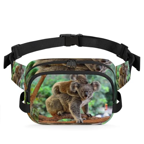 Koala Bauchtasche für Damen, Herren, Mädchen, Jungen, Kinder, Tiere, Koala, Bauchtasche, Laufen, Sport, Wandern, Geldbörse, Gürteltasche, farbe, XL, Taschen-Organizer von TropicalLife