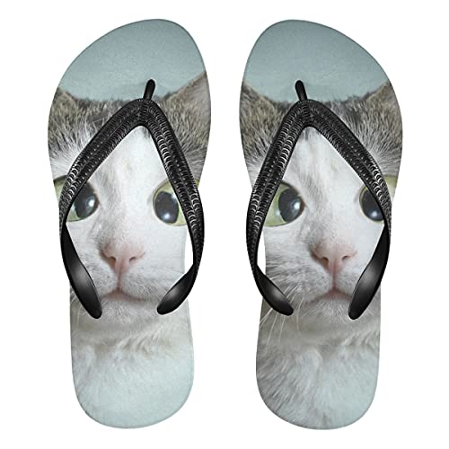 Lustige Tier Katze Print Damen Flip Flops Unisex Erwachsene Flip Flops Zehentrenner Größe XS Sommer Sandalen für Herren, mehrfarbig, 38.5/41 EU von TropicalLife