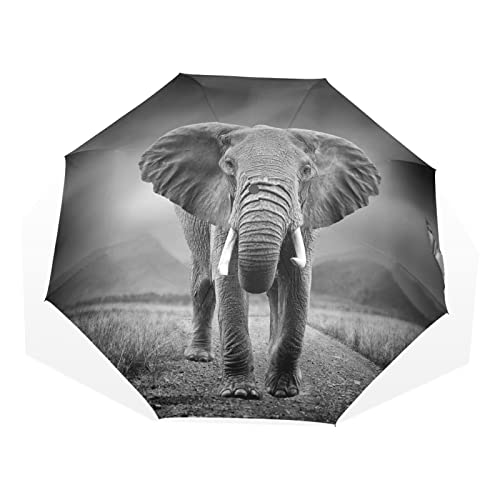 Regenschirm Afrika Elefant Tier Muster Druck Winddicht 3 Falten Regenschirm für Damen Herren Mädchen Jungen Unisex Ultraleicht Outdoor Reise Kompakter Regenschirm von TropicalLife