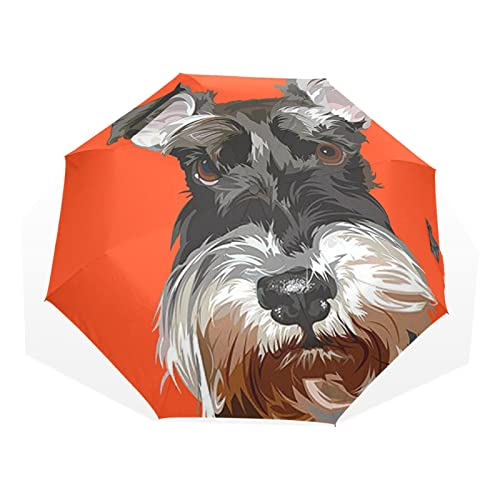 Regenschirm Kunst Malerei Hund Schnauzer Winddicht 3 Falten Regenschirm für Frauen Männer Mädchen Jungen Unisex Ultraleicht Outdoor Reise Kompakt Regenschirm von TropicalLife