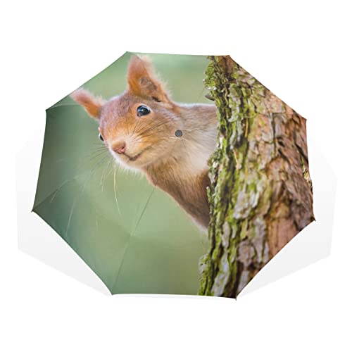 TropicalLife Regenschirm Wildtiere Baum Eichhörnchen Tier Winddicht 3 Falten Regenschirm für Frauen Männer Mädchen Jungen Unisex Ultraleicht Outdoor Reisen Kompakter Regenschirm, multi, Einheitsgröße von TropicalLife