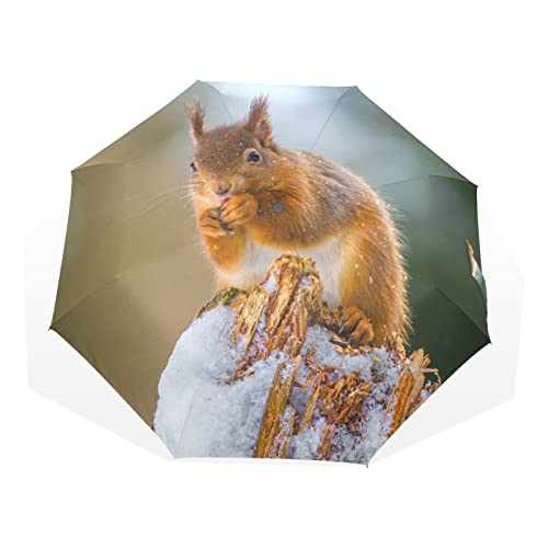 TropicalLife Regenschirm Winter Tierwelt Eichhörnchen Tier Winddicht 3 Falten Regenschirm für Frauen Männer Mädchen Jungen Unisex Ultraleicht Outdoor Reisen Kompakter Regenschirm, multi, Einheitsgröße von TropicalLife
