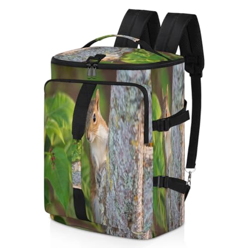 Wild Squirrel Sport Duffel Rucksack für Männer Frauen, Tier Eichhörnchen Wochenendtasche mit Schuhfach Tote Übernachtungstasche 47,5L für Sport Gym Reisen, farbe, 47.5L, Taschen-Organizer von TropicalLife