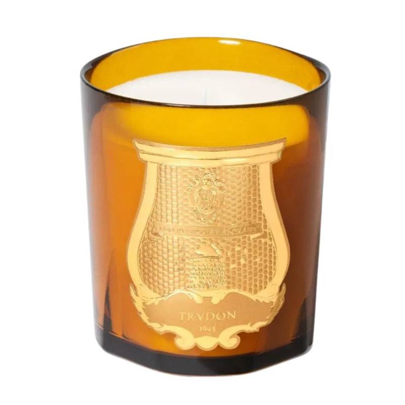 Trudon Duftkerze Altair (2800 g) von Trudon
