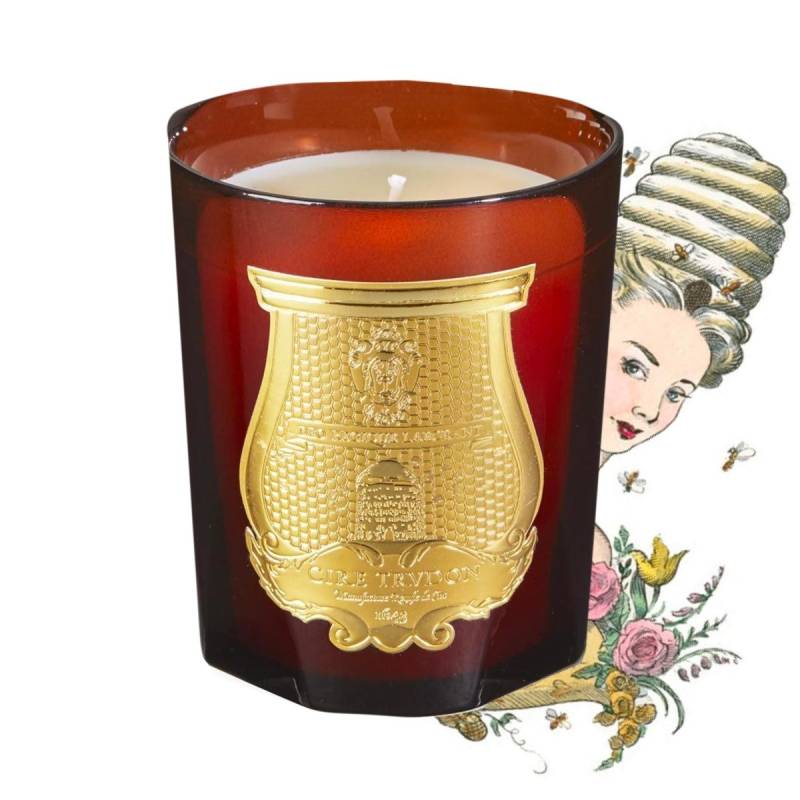 Trudon Duftkerzen Cire 270 g von Trudon
