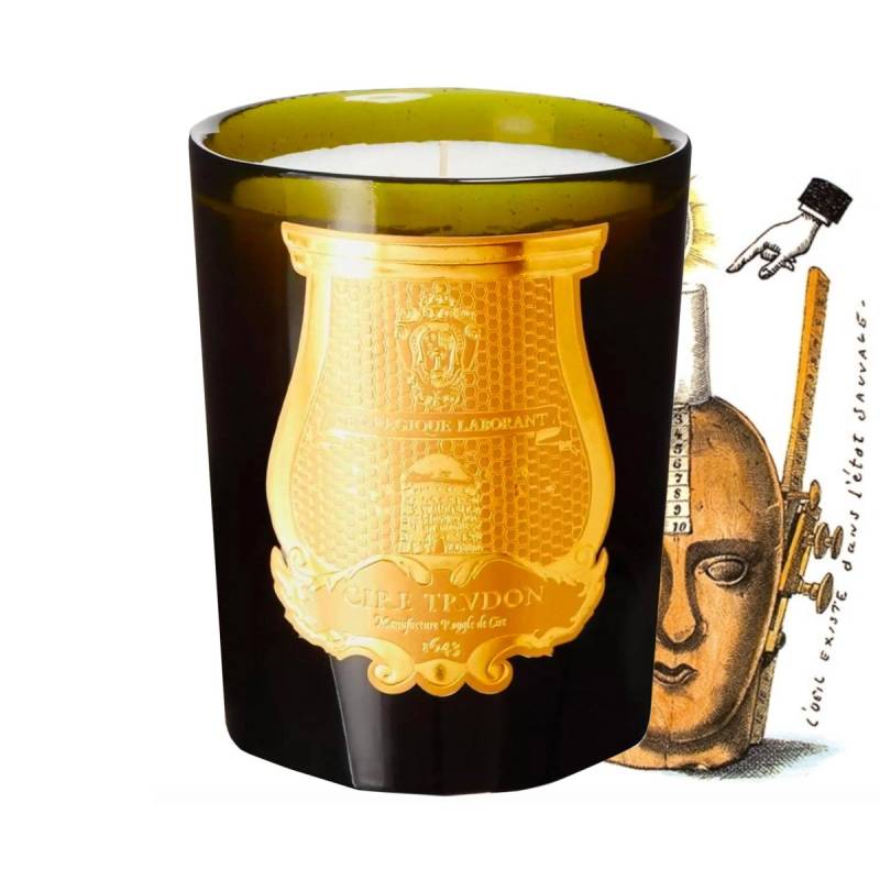 Trudon Duftkerzen Dada 270 g von Trudon