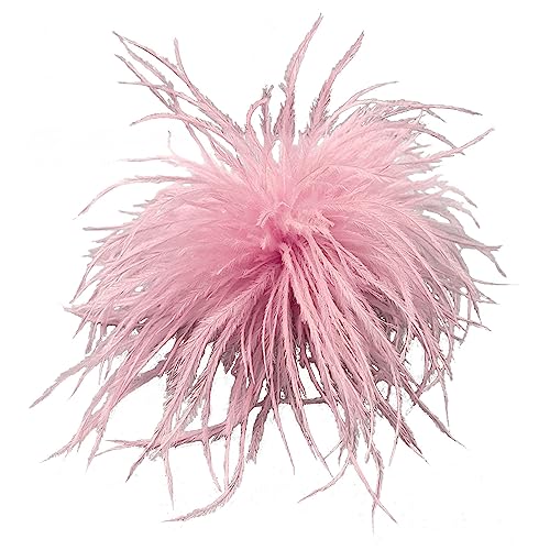 Trufolxiaz Feder Corsage Pins Federbroschen Stragestich Feder Revers Stecknadel Schmuckzubehör Für Pullover Kleider Dekorationen Feder Corsage Pin von Trufolxiaz