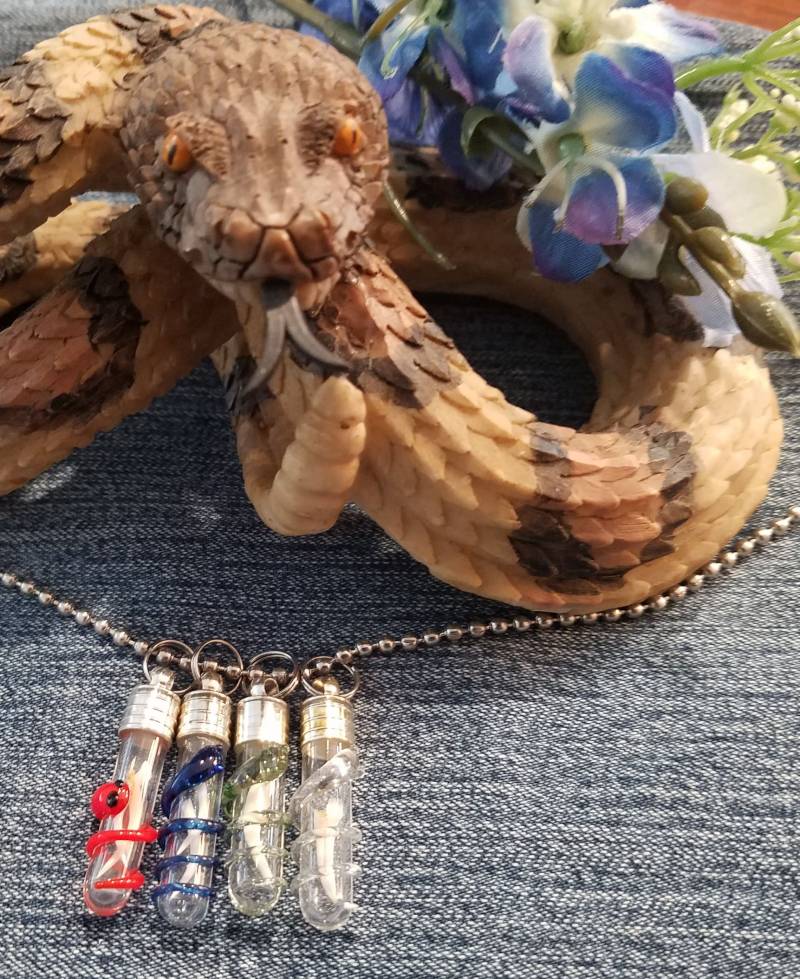 Anhänger Klapperschlangen Fangzähne in Glasfläschchen Anhänger Klapperschlangen Fangzähne in Glasfläschchen von TsDiamondbackDesigns
