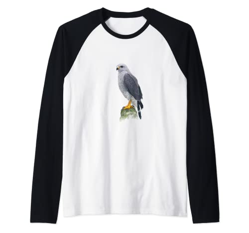 Graufalke, Falke, Adler Motiv t shirt Damen Hoodie Herren Raglan Graufalke, Falke, Adler Motiv t shirt Damen Hoodie Herren Raglan von Tshirt Shirt T-Shirt Pullover Hoodie Sweater Style