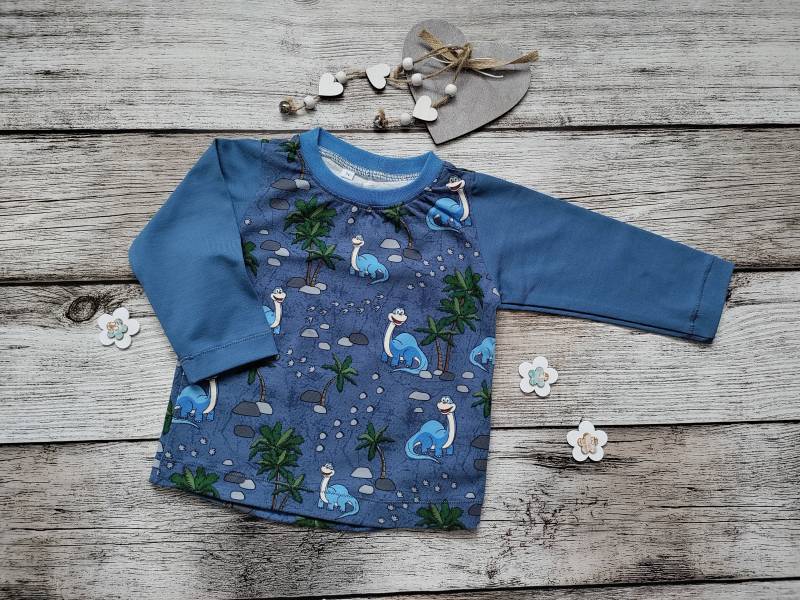 Dinosaurier Langarm Shirt in Größe 74 von TsuMeieu