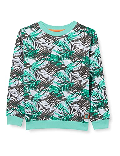 Tuc Tuc Jungen Sudadera Felpa JUST SURF Sweatshirt, grau, 12 Jahre von Tuc Tuc