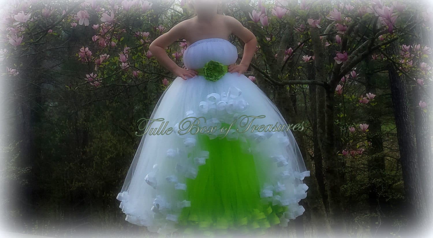 Farbe Pop Ärmelloses, Satinbandbesatztes Blumenmädchenkleid, Weißes Kleid Mit Lindgrüner Blume Und Schärpe von TulleBoxofTreasures