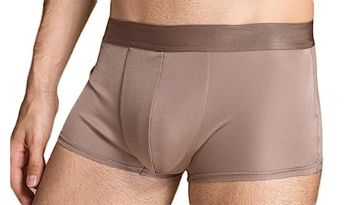 Men's Mulberry Silk Knitted Boxer Brief Stretchable Underwear Braun XXL von Tulpen