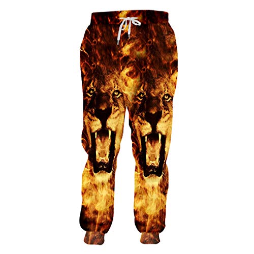 Tushja Unisex Hiphop Casual Sweat Hose Herbst Winter Jogger Haren Hosen 3D Druck Flamme Lion Jogginghose Flame Lion 3XL von Tushja