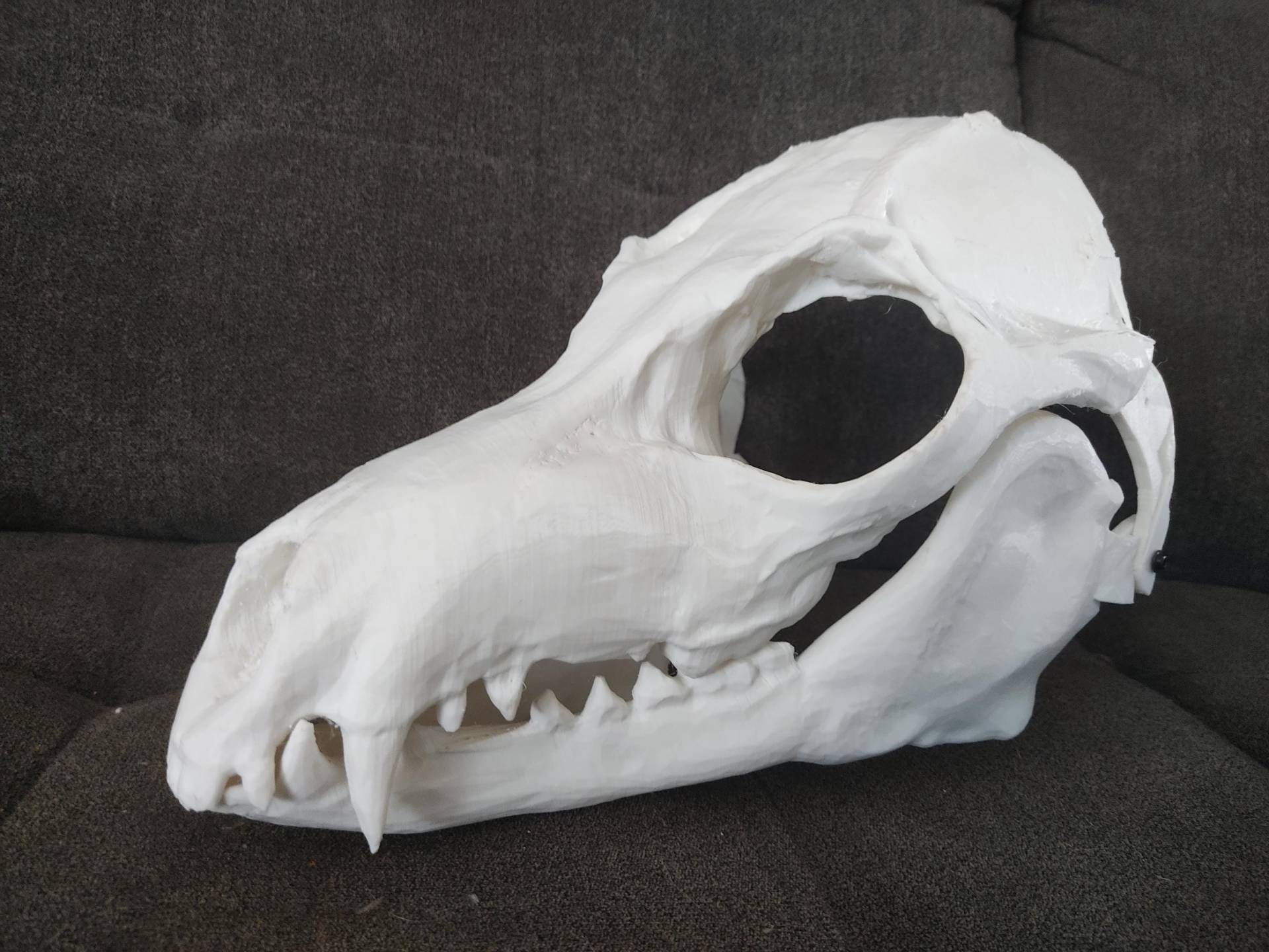 Skulldog 3D Printed Furry Mask Skulldog 3D Printed Furry Mask von Tw1nH3ll