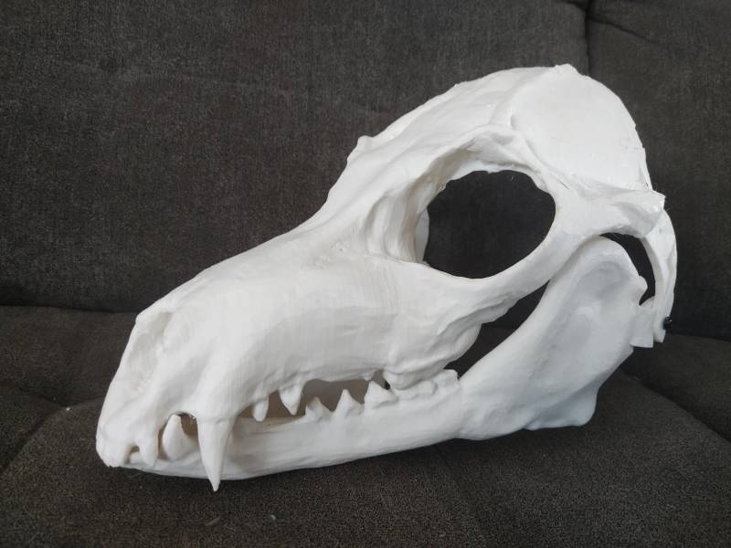 Skulldog 3D Printed Furry Mask Skulldog 3D Printed Furry Mask von Tw1nH3ll