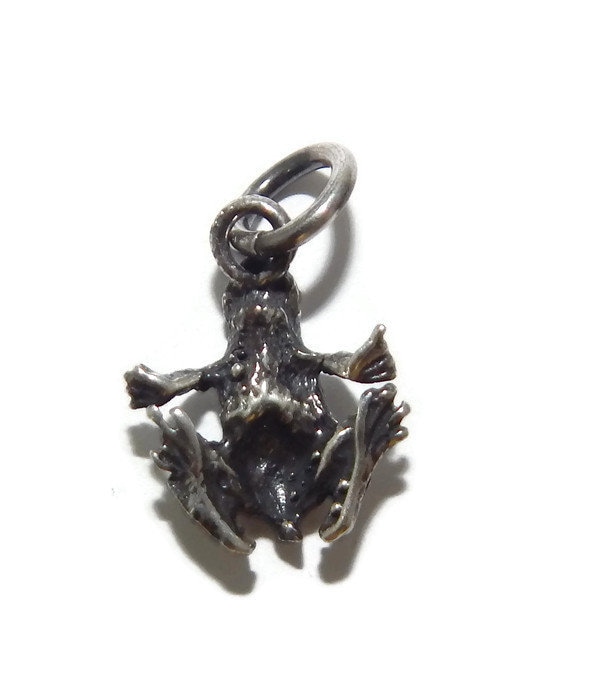Kröte Charm Anhänger .925 Sterling Silber von TwinsjewelryShop