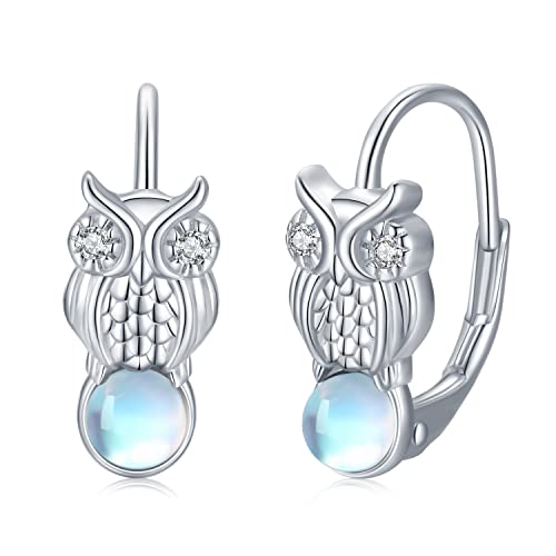 Eule Ohrringe 925 Sterling Silber Mondstein Ohrringe Leverback Tropfen Ohrringe Tier Creolen Kinder Ohrringe Vogel Schmuck Kristall Eule Geschenke für Frauen Mädchen Kinder von TwoAnts