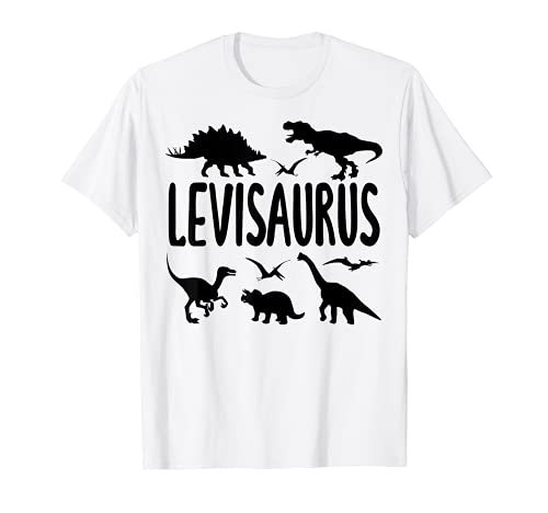 Dinosaurier T Rex Levi Levisaurus Jungen Dino Name T-Shirt von Types Of Dinosaurs Themed Birthday Co.