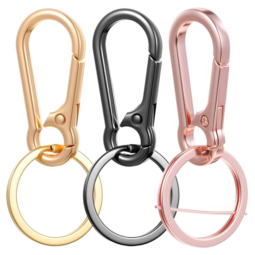 Tyqour 3 Stück Karabiner Schlüsselanhänger Metall Karabinerhaken Klein Schlüsselring Karabiner Schlüsselringe mit Schnellverschluss Clips Schlüsselkarabiner für Schlüssel, Rucksäcke und Charms von Tyqour