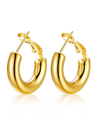 U7 Damen Creolen Ohrringe 20mm dicke Kreis Kreolen Edelstahl 60mm Hoop Ohrringe Vergoldet Hoop Earrings Ohr Schmuck Accessoire für Party tägliches Tragen von U7