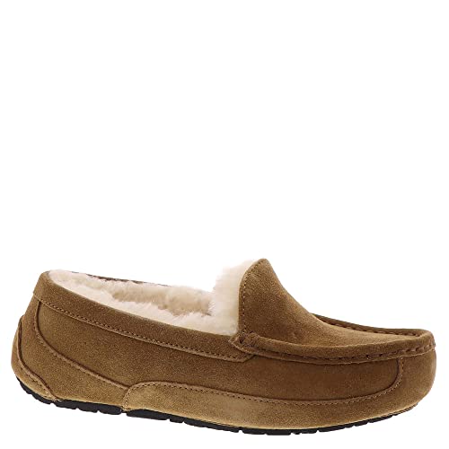UGG Unisex Kinder Ascot Slipper, Chestnut Suede, 32.5 EU von UGG