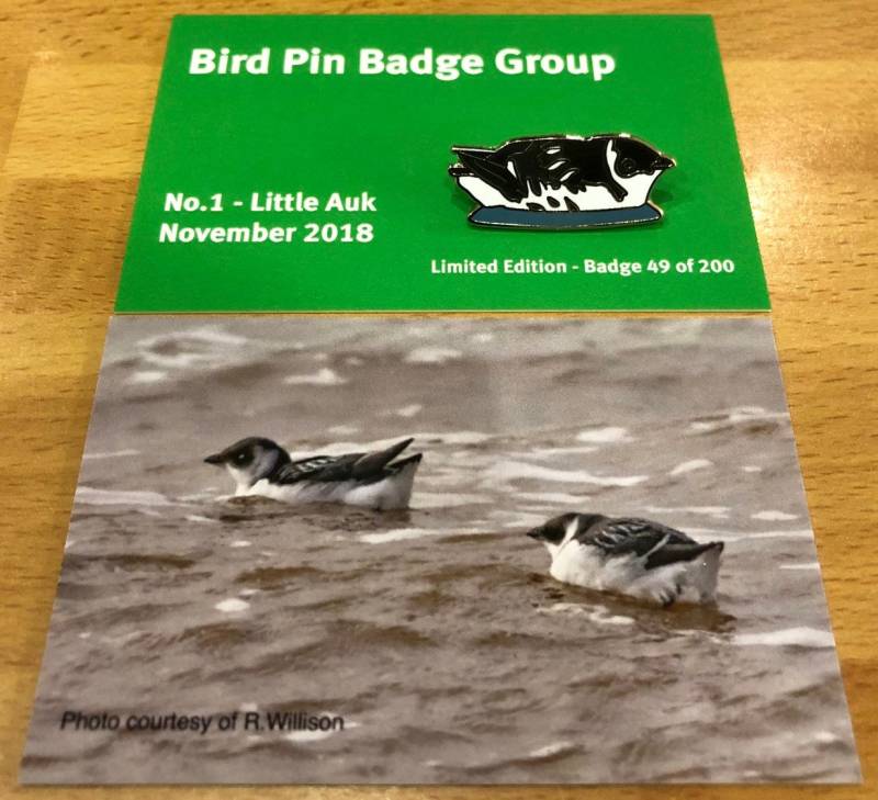 Kleiner Frosch Emaille Pin Anstecker von UKBirdingPins