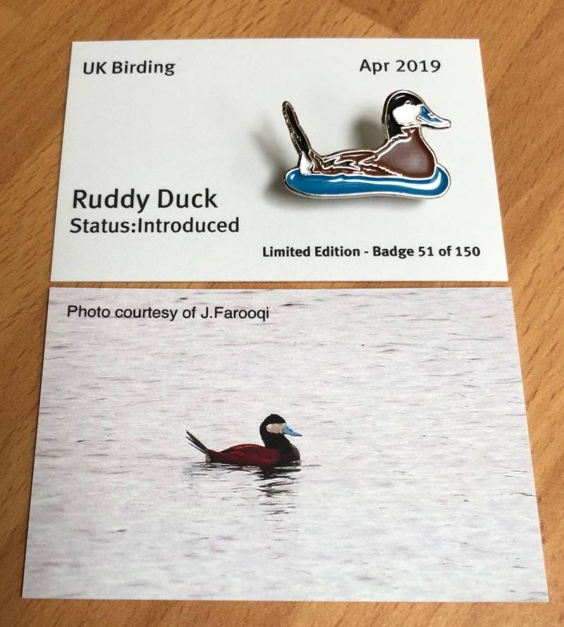 Rote Ente Emaille Pin Badge Rote Ente Emaille Pin Badge von UKBirdingPins