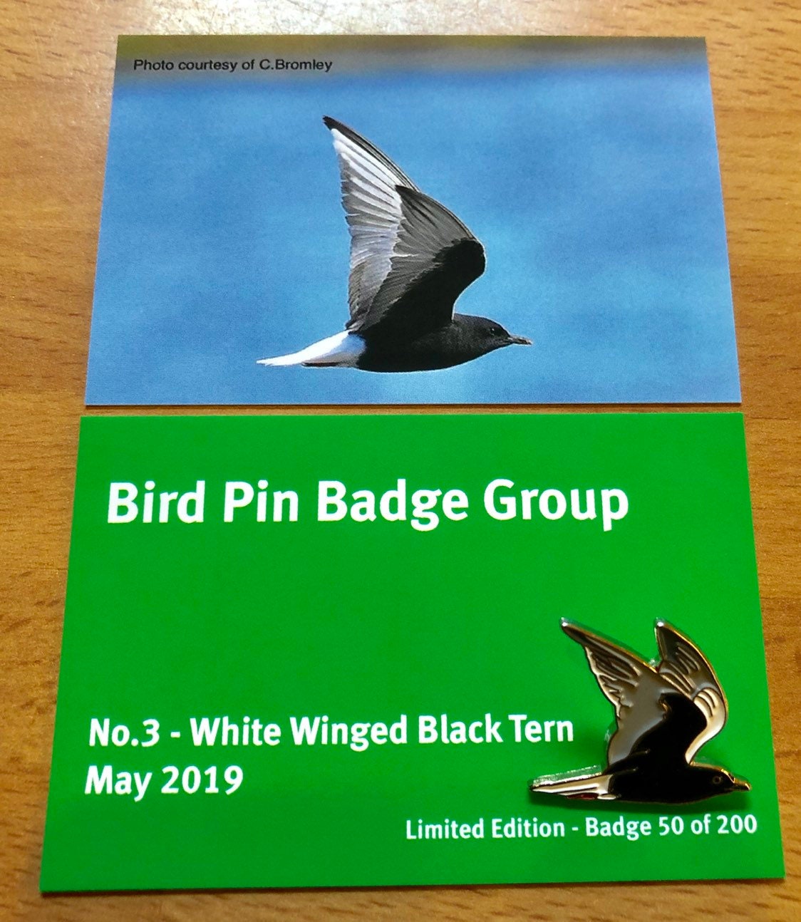 Weiße Geflügelte Schwarze Seeschwalbe Emaille Pin Anstecker Weiße Geflügelte Schwarze Seeschwalbe Emaille Pin Anstecker von UKBirdingPins