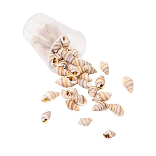Natürliche Meeresmuschel-Bastelset, einzigartige Muschelprojekte, zum Basteln von Muscheln für Schmuckdekorationen und künstlerische Kreationen, Muschel-Bastelbedarf, Einheitsgröße, Wie beschrieben von ULIJTH