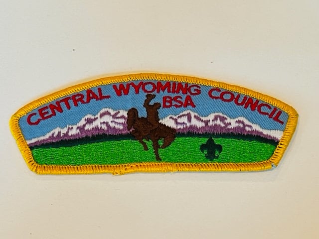 Boy Scouts Cub Girl Patch Vtg Rat Anstecker Memorabilia Central Wyoming Bsa Wy von UNIQUETREASUREFREAK