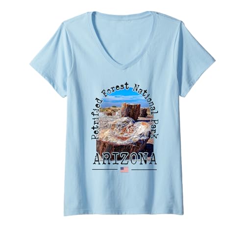Damen Petrified Forest-Nationalpark, Arizona, Navajo, Apache County T-Shirt mit V-Ausschnitt von US Flag Petrified Forest National Park Souvenirs