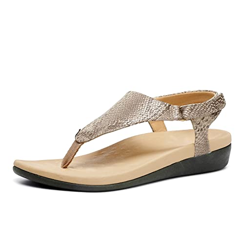 UTENAG Damen-Flip-Flops mit Fußgewölbeunterstützung, orthopädisch, verstellbar, Schlange, 6-6.5 UTENAG Damen-Flip-Flops mit Fußgewölbeunterstützung, orthopädisch, verstellbar, Schlange, 6-6.5 von UTENAG