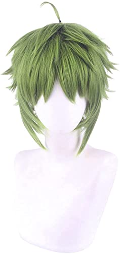 Uearlid Wig Anime Cosplay Anime Cosplay Perücken Mushoku Tenseei: Arbeitslose Reinkarnation Sylphyet grauRat Cosplay Perücke for Halloween-Party-Requisitenzubehör mit kostenloser Perücke-Kappe von Uearlid
